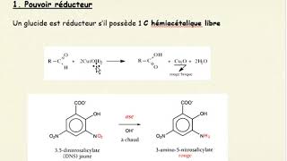 Vidéo cours propriétés oses [upl. by Hsenid]