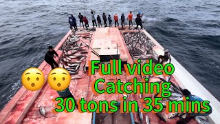 🤩 Full video catching 30 tons of skipjack tuna in 35 mins 🤩🤩 [upl. by Akihsan]