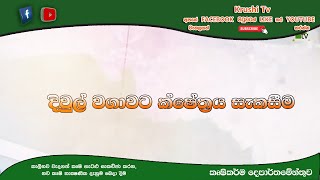 දිවුල් වගාවට ක්ෂේත්‍රය සැකසීම  Krushi Tv [upl. by Inohs]