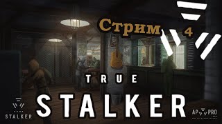 Блюз quot100 рентгенquot  True Stalker 4  Тру Сталкер [upl. by Elise]