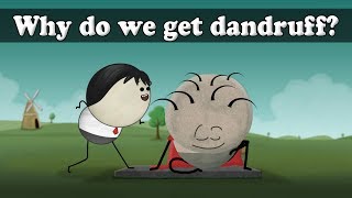 Why do we get dandruff  aumsum kids science education children [upl. by Lekym885]