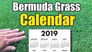 Bermuda Grass Calendar 2019 [upl. by Dory]