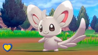 HOW TO GET Minccino in Pokémon Sword and Shield [upl. by Leirum558]