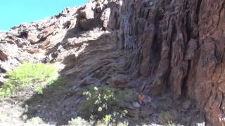 Monocline fold in the tapeats [upl. by River]