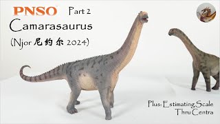 317 PNSO Camarasaurus 圆顶龙尼约尔）Njor 2024 Review Part 2 [upl. by Ojyma399]