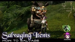 ArcheAge  How to Salvage Items [upl. by Barnet726]