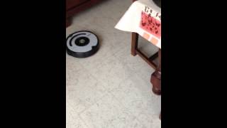 Roomba vs Vileda [upl. by Patrizius138]