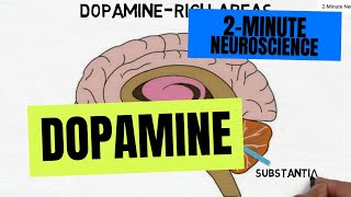 2Minute Neuroscience Dopamine [upl. by Ahsaela]