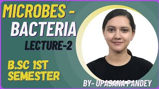 Shapes of Bacteria  Coccus Bacilli Spirilla  Microbes  BSc 1st semester BOTANY [upl. by Anek]