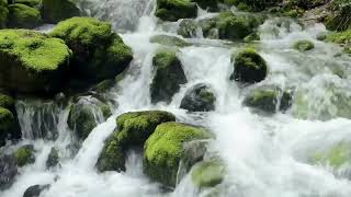 💕🥱😴💤SONIDO DEL AGUA FLUYENDO EN EL RIO PARA DORMIR  WATER SOUND IN THE RIVER FLOWING TO SLEEP [upl. by Eastlake573]