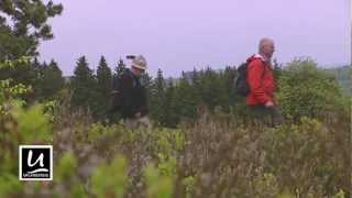 Wandern in Willingen  Kurzfilm [upl. by Othella]