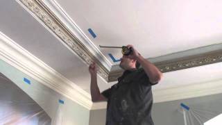 victorian ceiling commercial [upl. by Fenella]