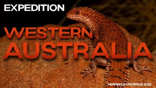 Reptiles amp Amphibians of WESTERN AUSTRALIA Herping Expedition 2024 [upl. by Wandis]