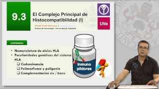 93 EL COMPLEJO PRINCIPAL DE HISTOCOMPATIBILIDAD I [upl. by Neiluj]