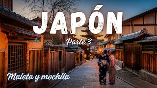 JAPÓN 🇯🇵 Parte 3  Nuestra vuelta al mundo Episodio 11 [upl. by Smaj]