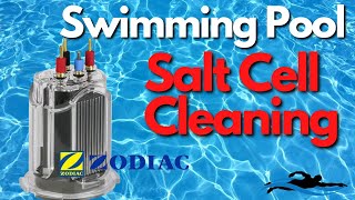 How To Clean A Swimming Pool Salt Cell  Zodiac Salt Cell Cleaning [upl. by Marcell]