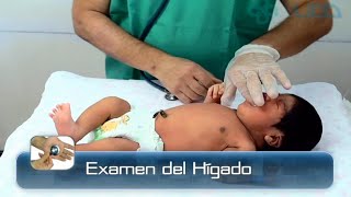 🌟EXAMEN DEL HÍGADO DEL RECIÉN NACIDO🌟 [upl. by Dohsar]