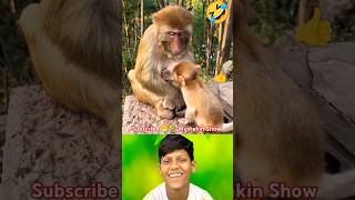 Monkey 🐒 caressing 💕baby 😍shortsyoutubeshortsanimalmonkeycutecutebabycutemonkeytrending [upl. by Nylannej]