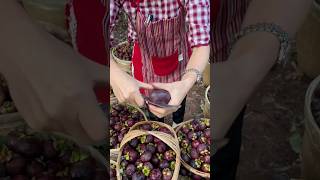 Come here Thailands first old tree Mangosteen is delicious cheap and delicious quotMangosteenquot [upl. by Styles]