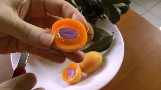 The Maprang Marian Plum  Bouea Macrophylla  HD Video [upl. by Ecinereb]