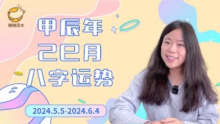 甲辰年己巳月（24552464）八字运势【直播回放精华版】✨火驿马月就要积极高调的争取利益✨猪猪运势 [upl. by Ialokin731]