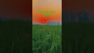 Gaon ki kahani Gaon ki story Village in Story story kahani trending 2024 ytshorts shorts [upl. by Bedwell]