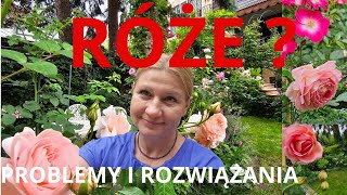 🌺RÓŻE kwitnące w cieniu PROBLEMY nawożenie róż cięcie róż pielęgnacja róż Rabata w cieniu Kwiaty [upl. by Rebba]