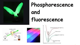 Basics of Phosphorescence and Fluorescence  there differences [upl. by Coralyn333]