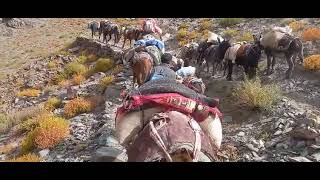 Ralakung is one of the Remotest village in Zanskar of district Kargil [upl. by Avrenim62]