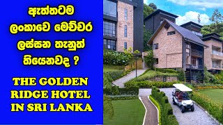 නුවර එළිය නවාතැන්  Hotels In Nuwara Eliya Sri Lanka  Golden Ridge Hotel Nuwaraeliya In Sri Lanka [upl. by Nylacaj]