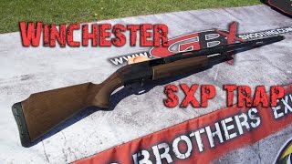 Winchester SXP Trap [upl. by Assirialc630]