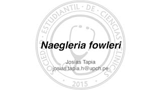 Naegleria Fowleri [upl. by Nirroc]