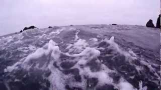 Rough Water Freediving for Abalone in Brookings Or [upl. by Odelet879]