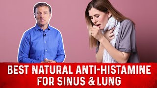 The Best Natural AntiHistamine for Sinus amp Lung Congestion – DrBerg [upl. by Bellina]