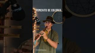 Sanjuanito Ecuatoriano Ponchito de Colores music flute feed ecuador musicaecuatoriana shorts [upl. by Ttsepmet800]