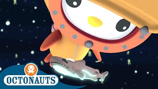 Octonauts  Meeting a Baby Shark  Cartoons for Kids  Underwater Sea Education [upl. by Ilatfen]