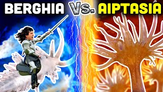 DESTROY Aiptasia with Berghia Nudibranchs Everything You Need to Know [upl. by Lorusso]