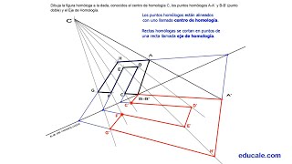 EVAU  Dibuja la figura homóloga a la dada conocidos el centro de homología C dos puntos homólogos [upl. by Ieso]