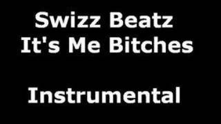 Swizz Beatz  Its Me Bitches Instrumental [upl. by Haye149]