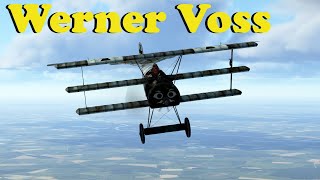 Werner Voss2 Fokker Dr1 v SE5a IL2Flying Circus [upl. by Ahsienel]