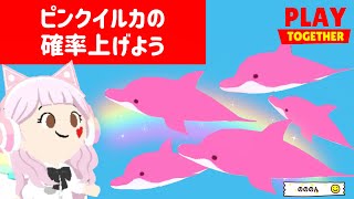 【一緒に遊ぼう】ピンクイルカの確率上げようアマゾンカワイルカ【PlayTogether ゲーム アプリ】 [upl. by Aivatahs42]