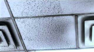 Incredible Cleaning Commercial Ceiling Tiles [upl. by Fessuoy]