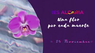 Una flor por cada muerte  IES Alcaria 25N 2023 [upl. by Dorran]