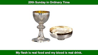 My flesh is real food Homily for the 20th Sunday in Ordinary Time Year B [upl. by Demmahom]