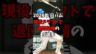 【日本ハム】現役ドラフトで今年、退団危機の３人【北海道日本ハムファイターズ】 [upl. by Aldos]