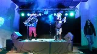 Metalachi  Here I Go Again  Live 2013  HD [upl. by Susana]