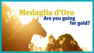 Medaglia dOro one of the worlds elite stallions [upl. by Royal]