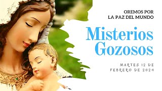 Rosario de Hoy LUNES 12 de FEBRERO  Misterios GOZOSOS  Wilson Tamayo [upl. by Yebloc]