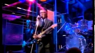 Elvis Costello  I dont want to go to Chelsea TOTP 1978 [upl. by Edward]