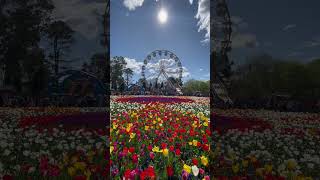 Floriade in Canberra ACT Australia canberra australia [upl. by Ahsikad273]